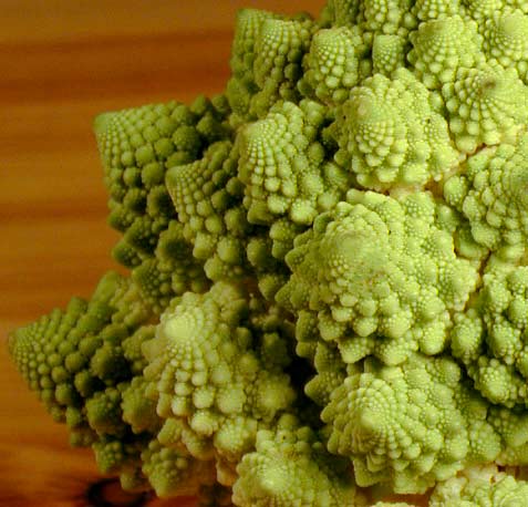 broccoflower-fractal.jpg