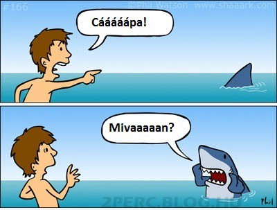 Kép