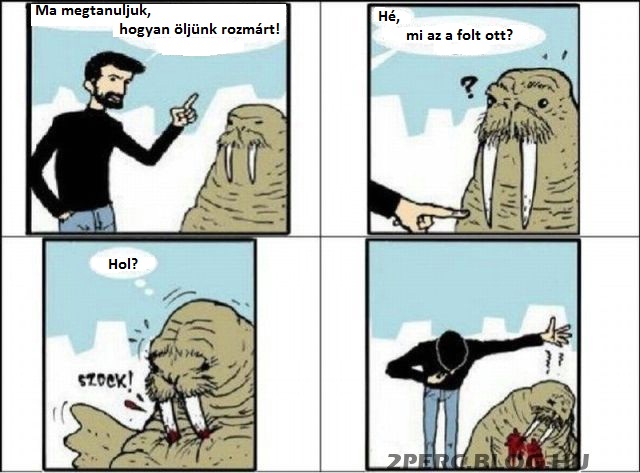 Kép