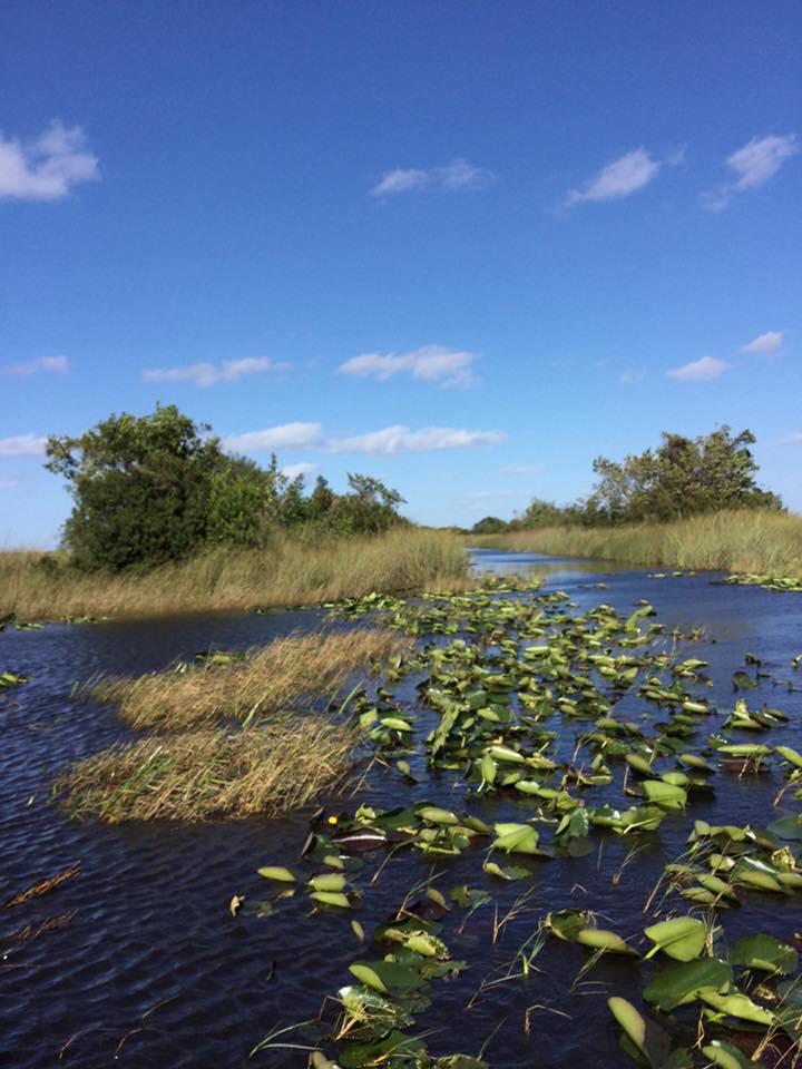 everglades-nemzetipark.jpg