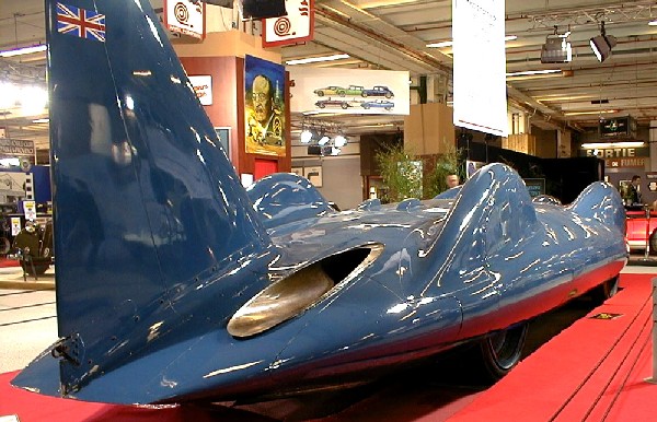 Bluebird speed dating