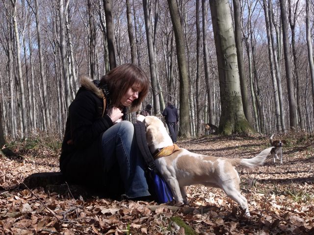 DSCF4533.jpg