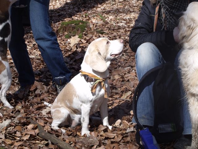 DSCF4539.jpg