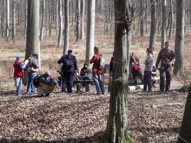 DSCF4560.jpg