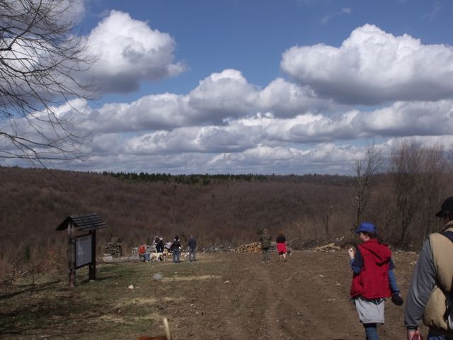 DSCF4567.jpg