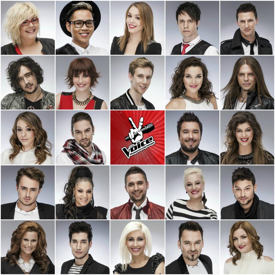 voice-top-24_1355520933.jpg_960x960