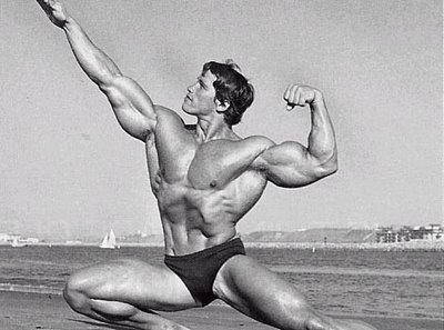 http://m.blog.hu/ca/calisthenics/image/arnold1.jpg