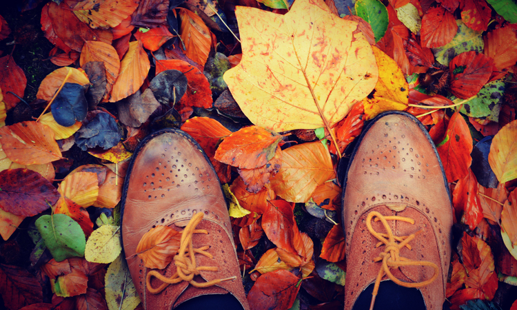 Helló November! - ködös reggelek, derűs programok
