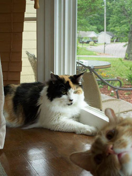 spoiled_photos_21.jpg
