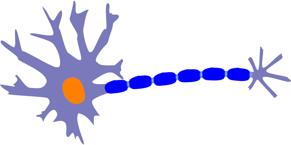 neuron_szinapszis.png