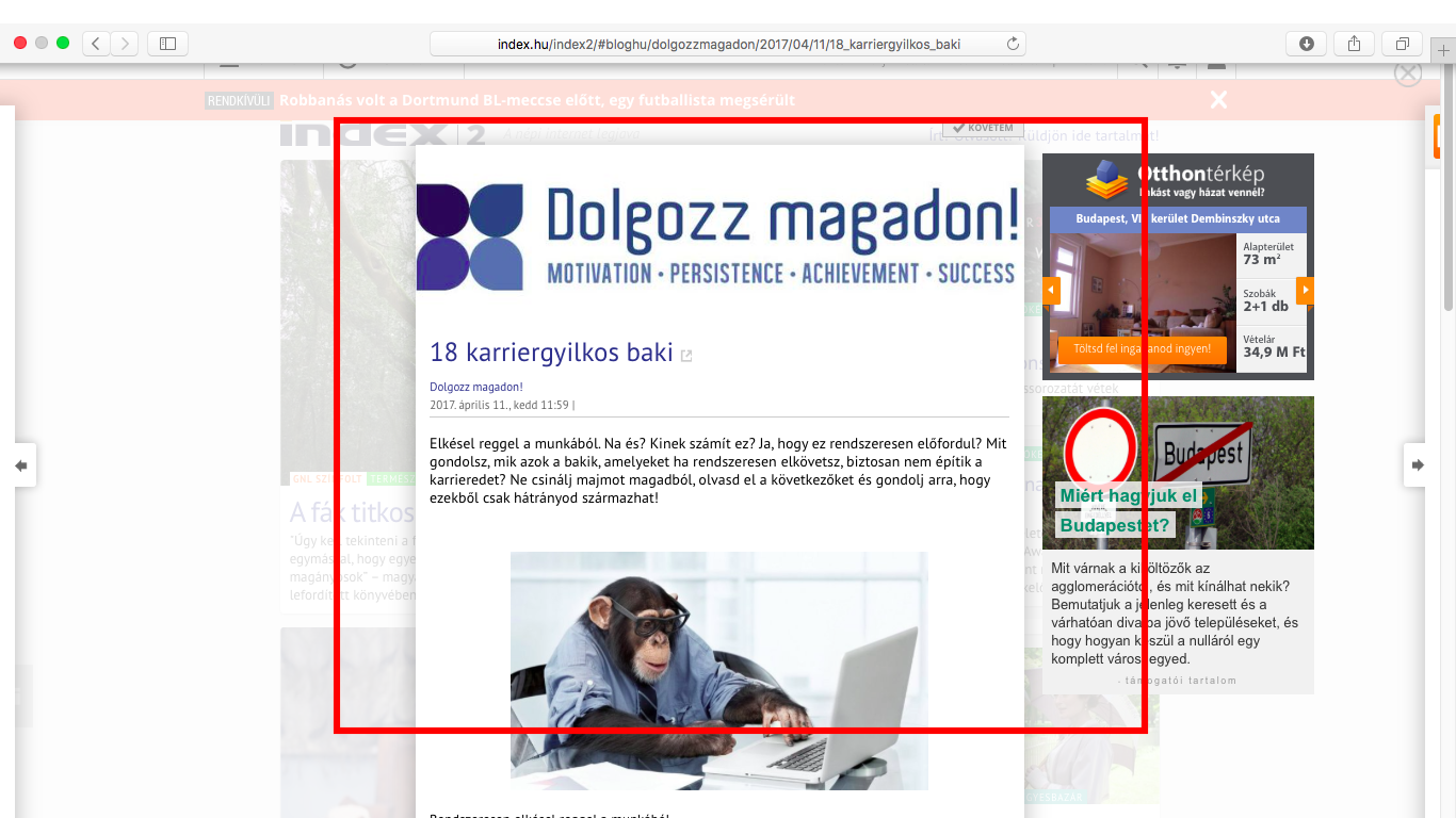 index_megjelenes_40_2.png
