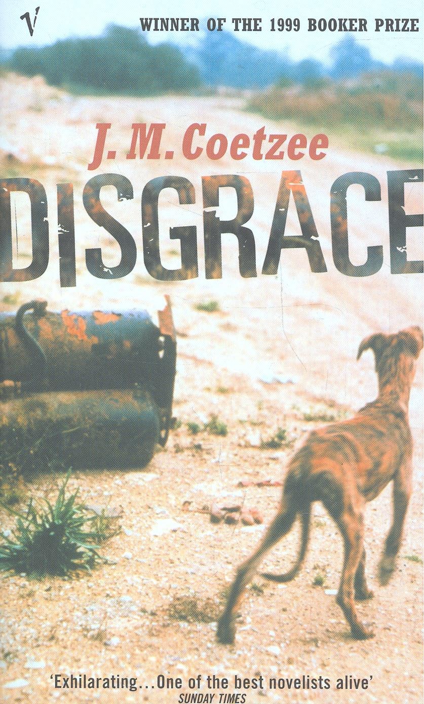 disgrace novel by jm coetzee