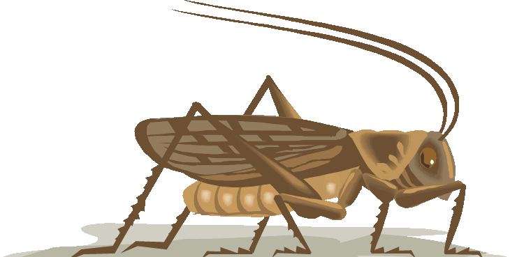 cricket.gif