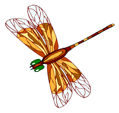 dragonfly.gif
