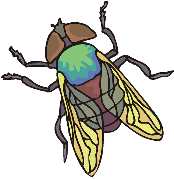 fly.gif