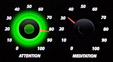 1010_2.jpg