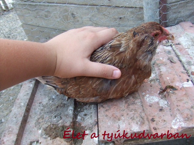 dscf8189.JPG
