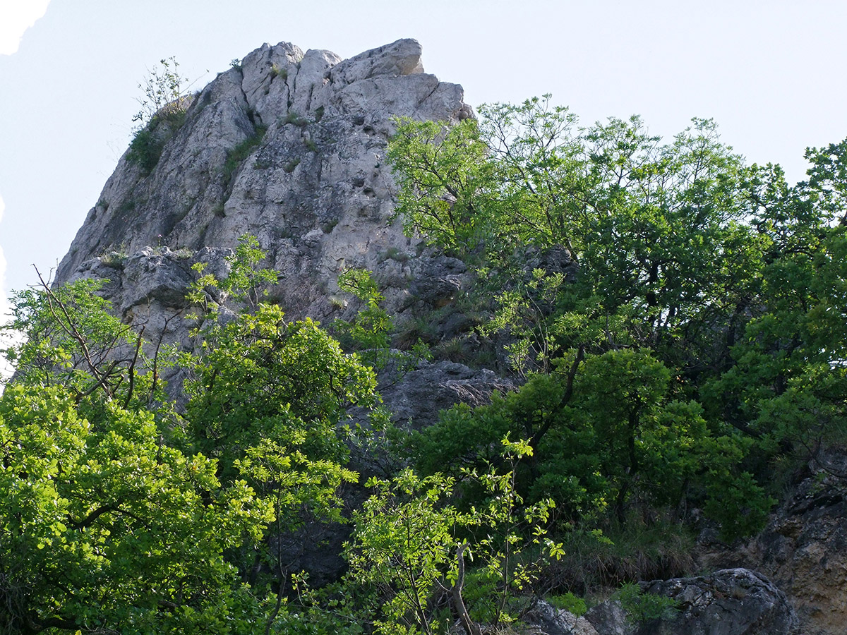 Tündér-szikla közelről