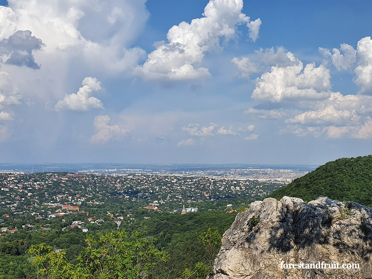 Panoráma II. 