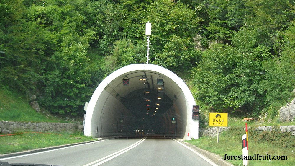 20200424_ucka-tunnel_011.jpg