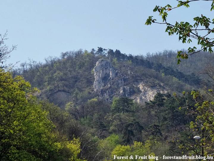 2017. április - Zugliget, Tündér-szikla