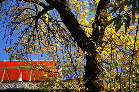 oktober oktober
