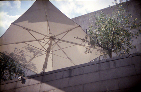 kunsthalle kunsthalle