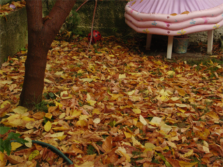oktober oktober