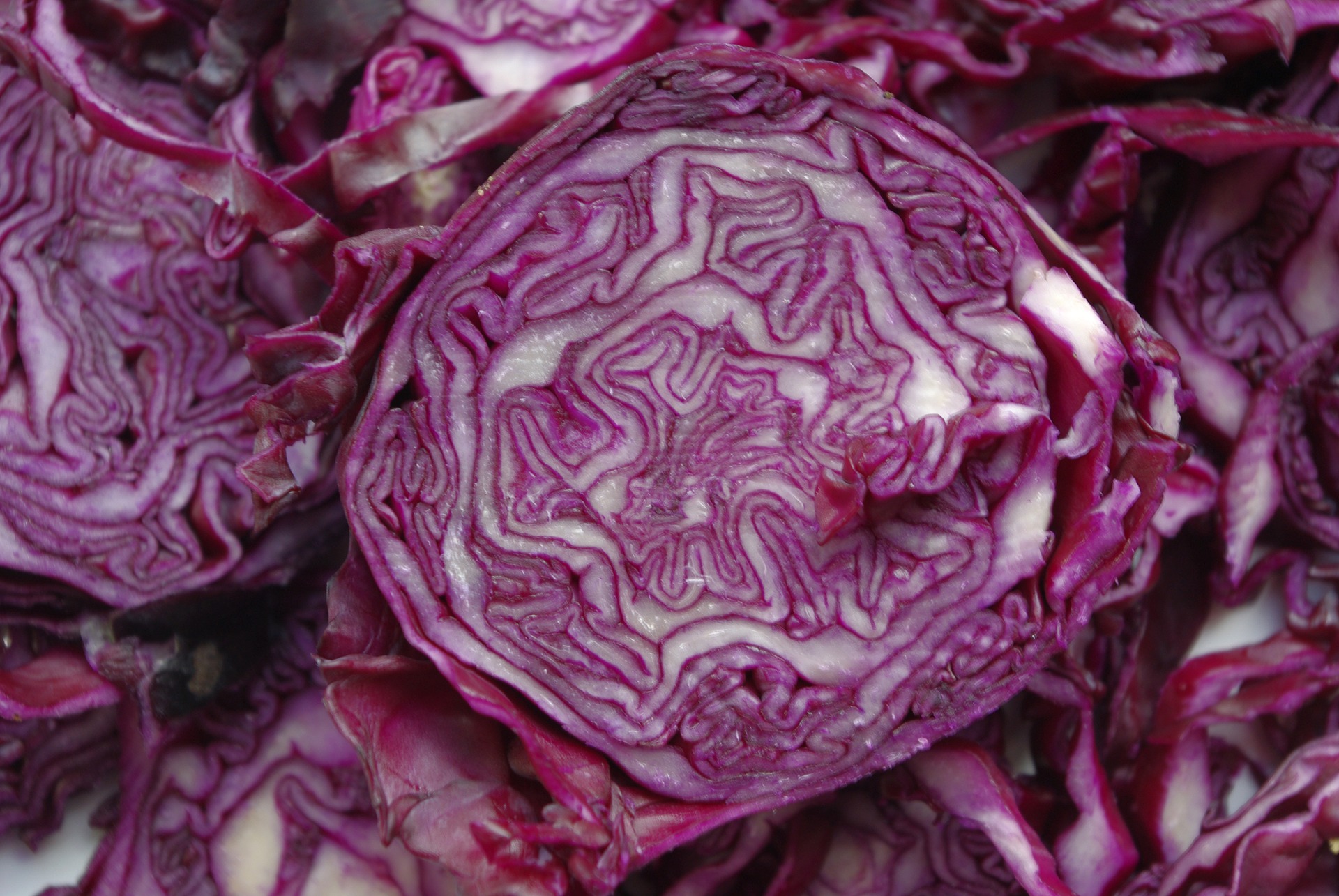 red-cabbage-1338061_1920.jpg