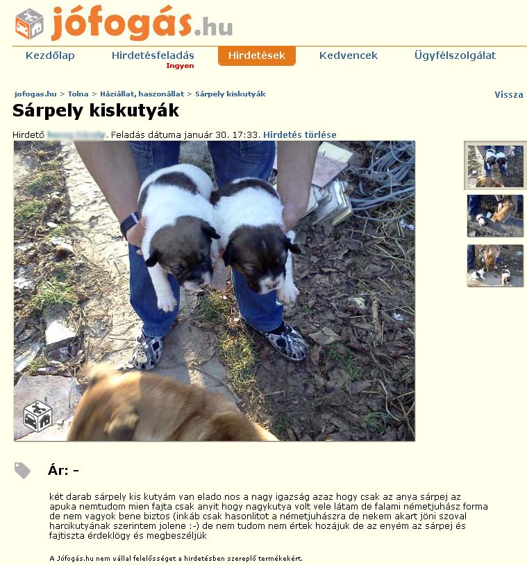 sarpely_harcikutya.jpg