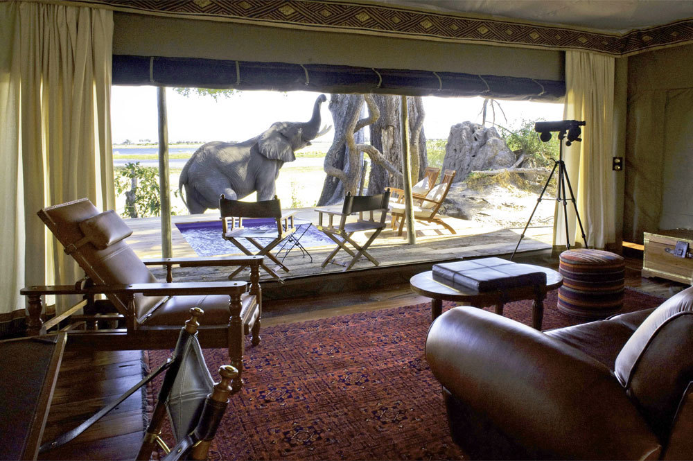 botswana-africa-indoor-view-elephant-zarafa-camp-wildlife-cheetah_lg.jpg