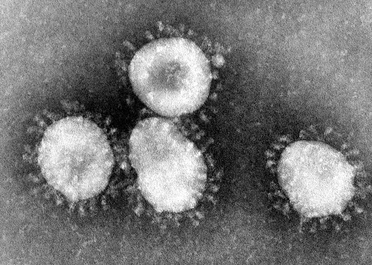 1200px-coronaviruses_004_lores.jpg
