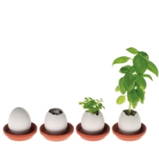 eggplanter(1).jpeg