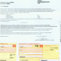 Az elmŰ nem annyira fogyasztóbarát tékozló homár