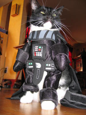 darthkitty.jpg