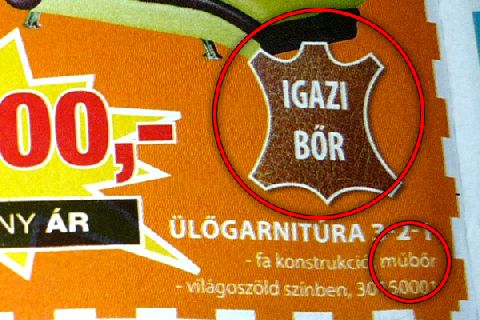 Pet palackkal táplálja az asko nyúzás elÅtt a teheneket tékozló ...