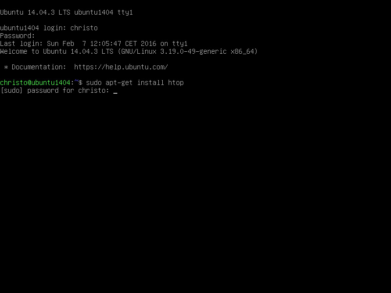 ubuntu_ctr_alt_f1_install_htop.jpg
