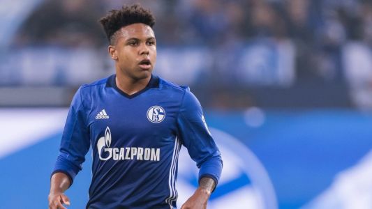 mckennie_weston_schalke.jpg