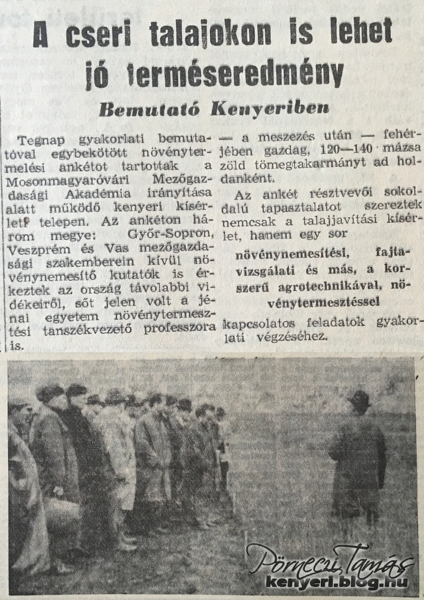 Szakemberek a Kenyeri Kísérleti Telepen (Vas Népe 1966. május 10) 