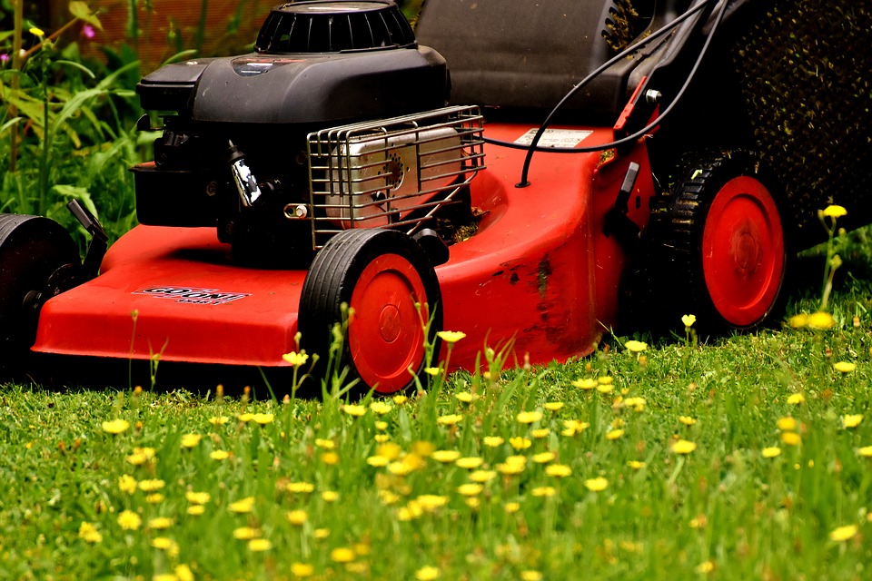 lawn-mower-2430719_960_720.jpg