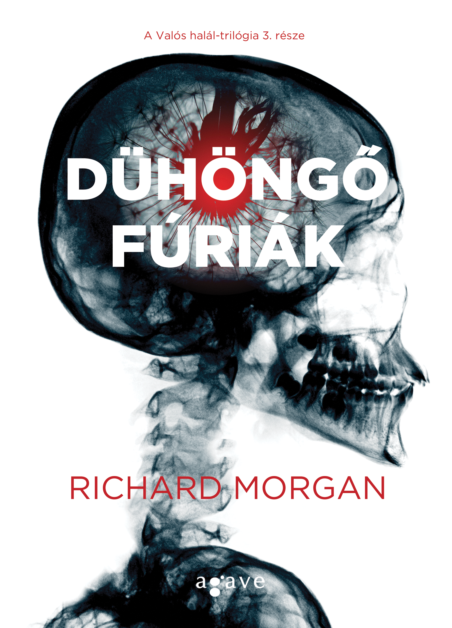 richard_morgan_duhongo_furiak_b1.png