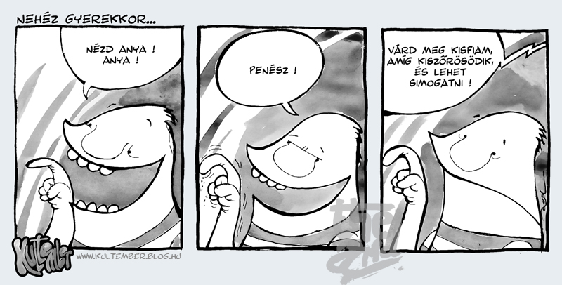 Kép