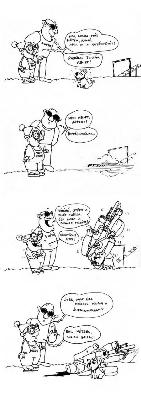 Feltöltött kép