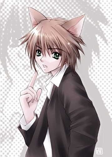 http://m.blog.hu/la/ladym/image/Neko-boy-anime-animal-guys-3835825-359-500.jpg