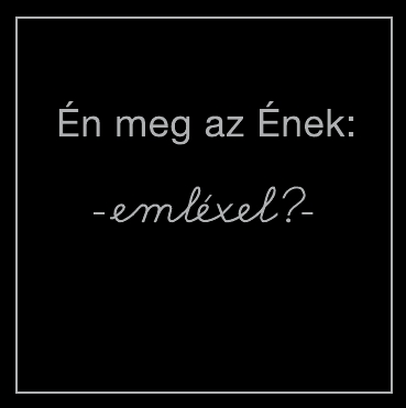 Brczesi Rbert : n meg az nek: emlxel? (2011)