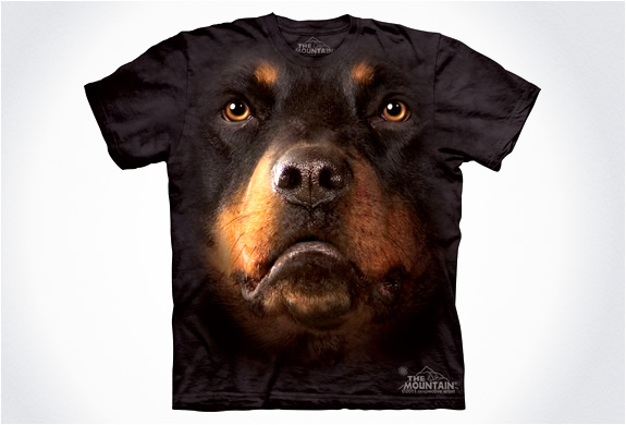 img_the_mountain_dog_t_shirts_4.jpg