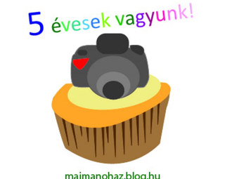 Öt éve indult a Mai Manó Ház Blog