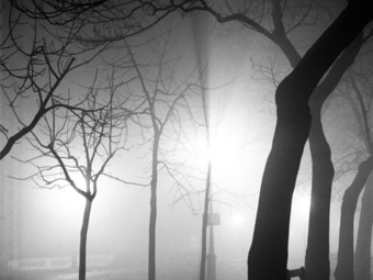 Fotográfusok - Made in Hungary: Dienes Andor/Andre de Dienes (1913-1985)