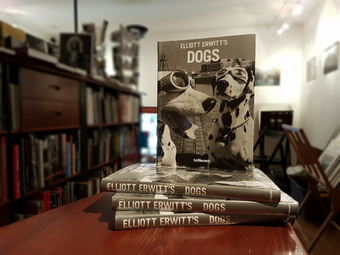 Válogatás a ma 89 éves Elliott Erwitt fotóalbumaiból