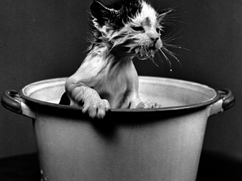 Portfólió - Nina Leen (1909)